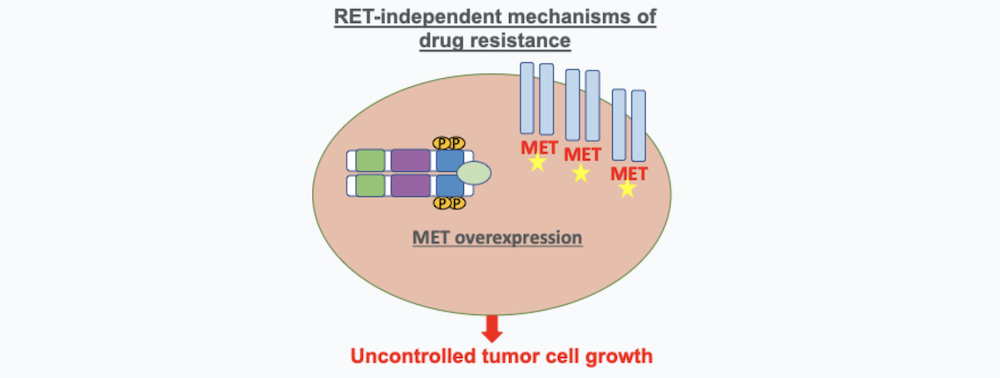 RET-Independent Mechanisms of Drug Resistance