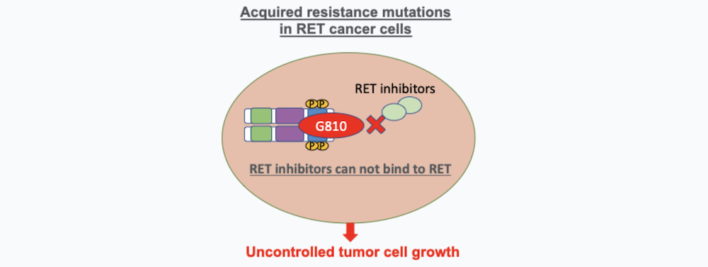 acquired resistance mutations in RET cancer cells