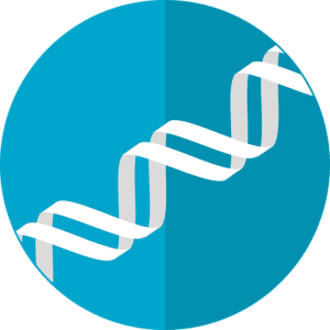 RET gene mutation, RET mutation, RET inhibitor, non small cell lung cancer