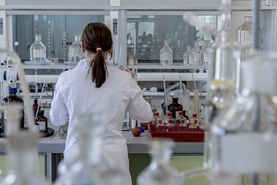 cancer cell lines, breast cancer cell lines, human tumor cell lines, different cell lines, pancreatic cancer